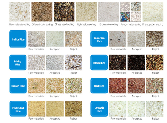 Máquina de classificação de cores de arroz Dreamplus Alta precisão 99,99%