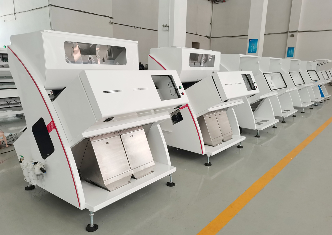 99,99% máquina de classificação 6000 quilograma da cor do milho da precisão /H