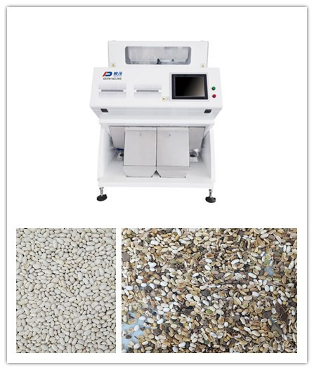 Máquina Classificadora de Cores RGB CCD Agrícola Feijão Branco 2 Calhas