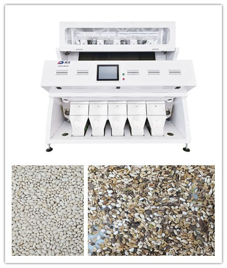 CCD RGB Bean Grain Sorter branco ótico 5 rampas 320 canais