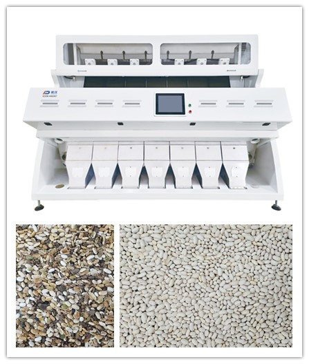 Precisão branca de Bean Grain Color Sorter Great da agricultura de 7 rampas