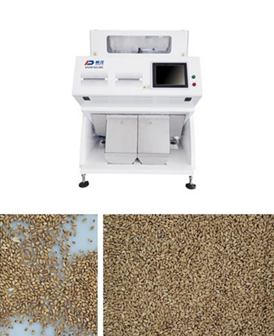 De alta capacidade da máquina do classificador da cor do RGB do trigo de 2 canais das rampas 160