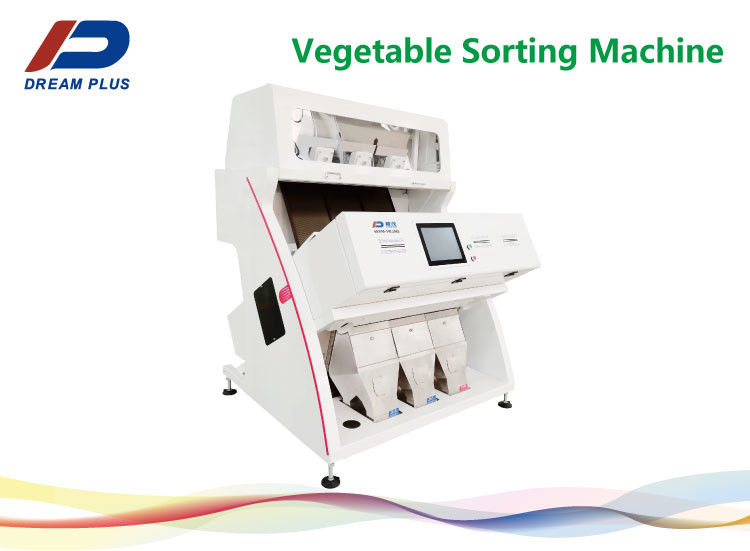 O classificador automático vegetal da cor da máquina de classificação do cogumelo fácil opera-se
